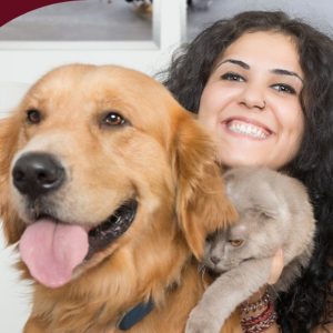 Smiling woman hugging a golden retriever and a gray cat.